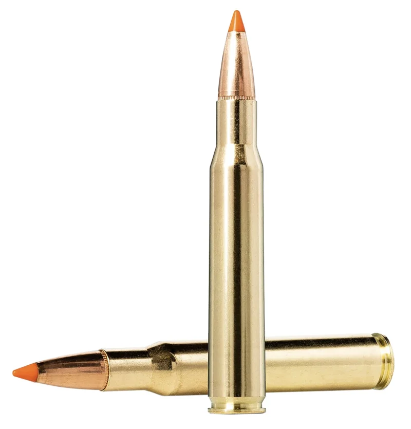 Norma .30-06 Springfield 170gr POLYMER TIP Brass – 20rd