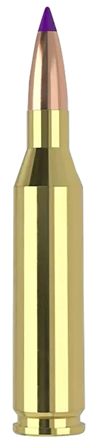 Nosler .243 Winchester 70gr BALLISTIC TIP VARMINT – 20rd