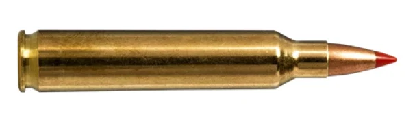 Norma .204 Ruger 40gr V-MAX Brass – 20rd