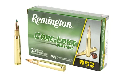 Remington .30-06 Springfield 165gr CORE-LOKT Brass – 20rd